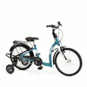 Schuchmann momo therapy bicycle